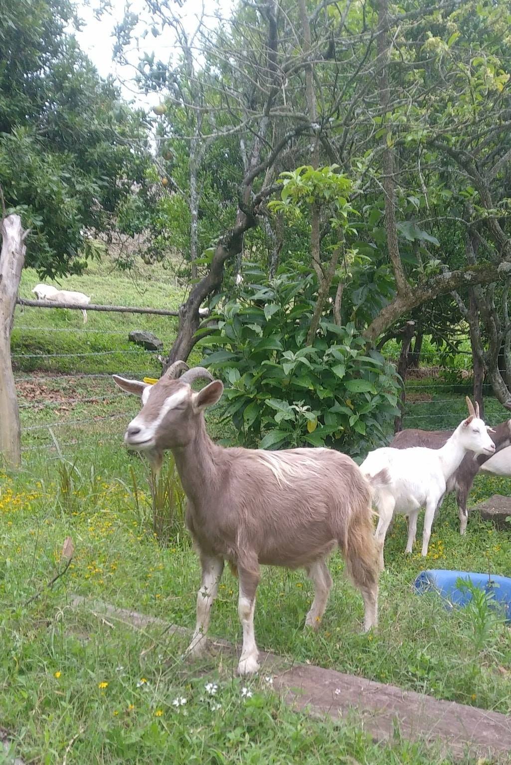 36812303_1922985117722235_3439478551588372480_n