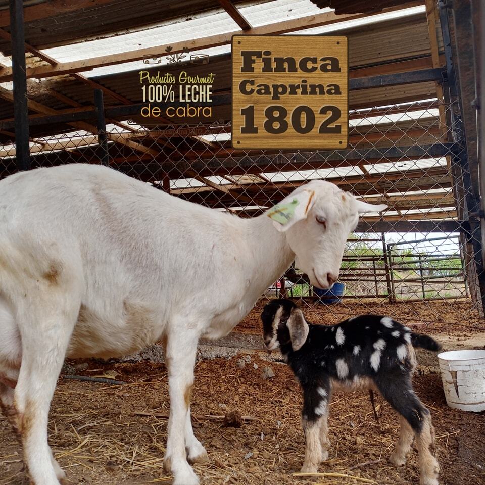 488765840_1118574996950474_4594670578248800932_n